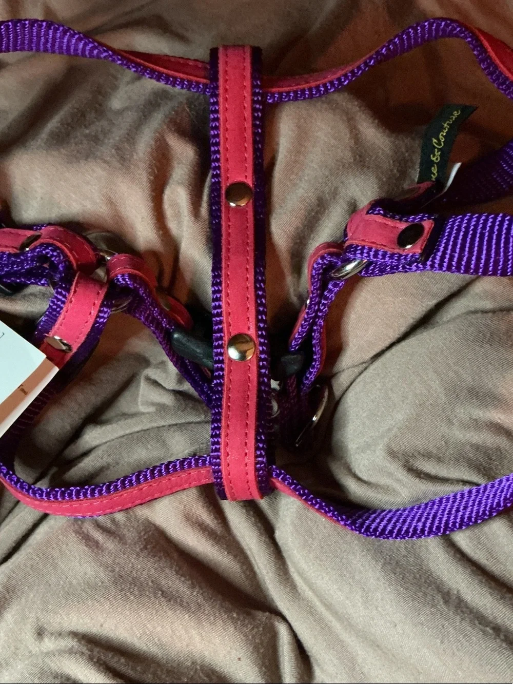 Purple and Pink Padded Dog Harness with Secure Hardware